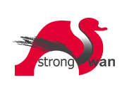 strongswan